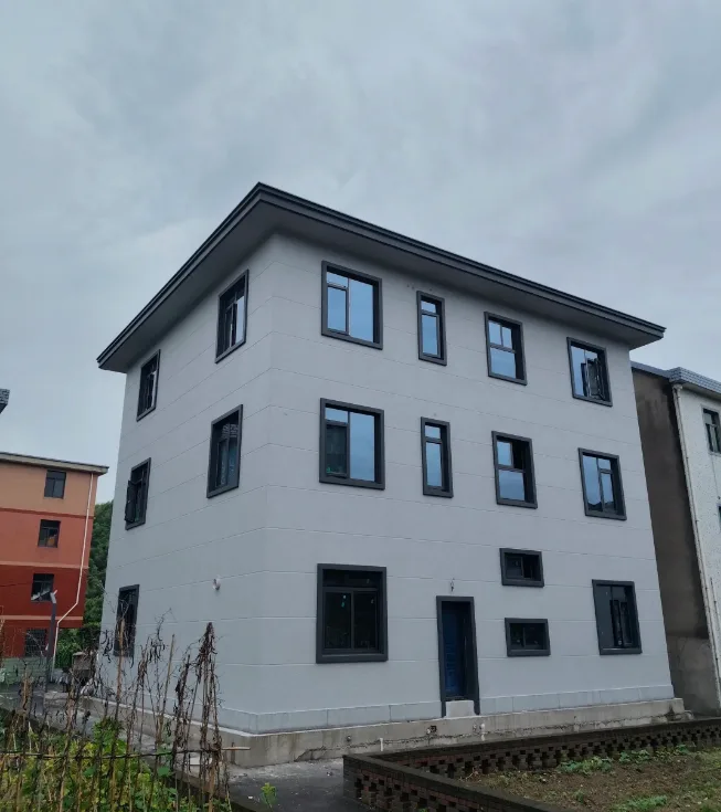 现代极简自建房 白色外墙 整齐多窗规整户型
